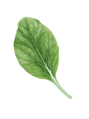leaf